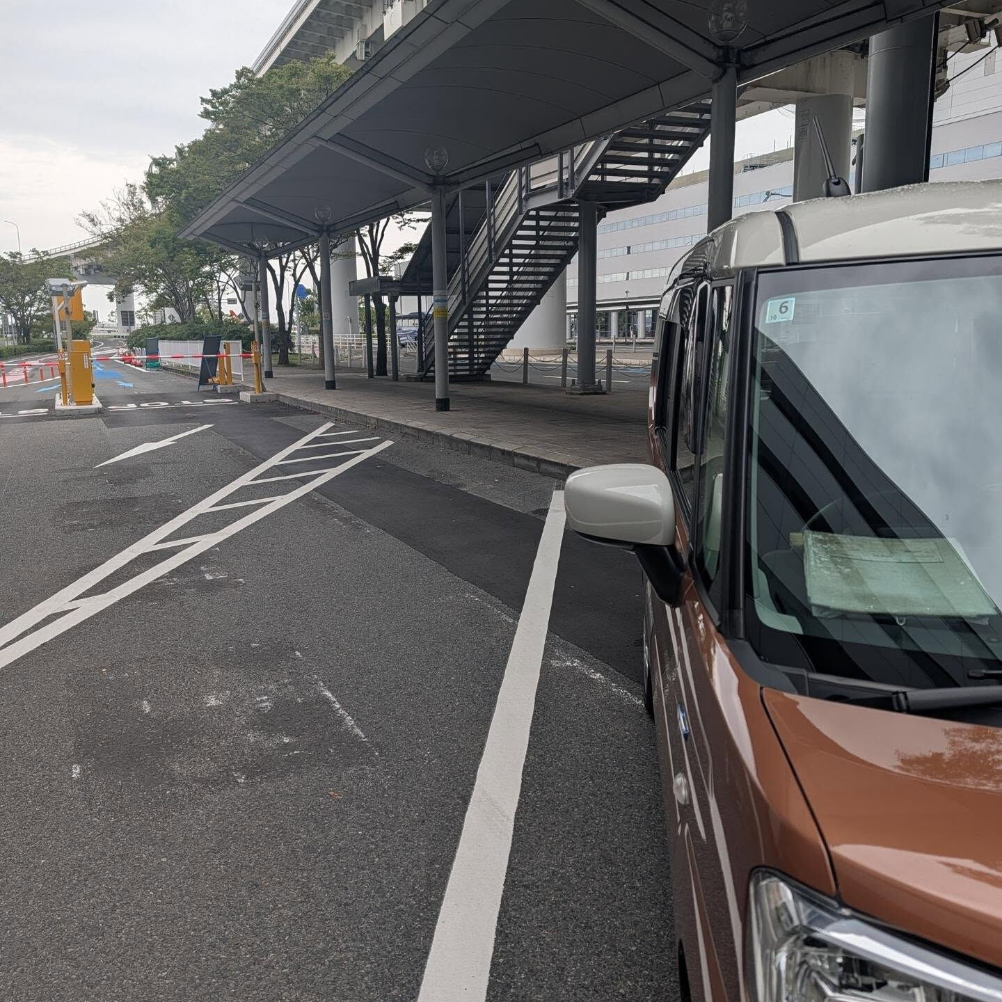 関西空港から京都まで、プードルちゃん7匹のお送りでした🐶✈️