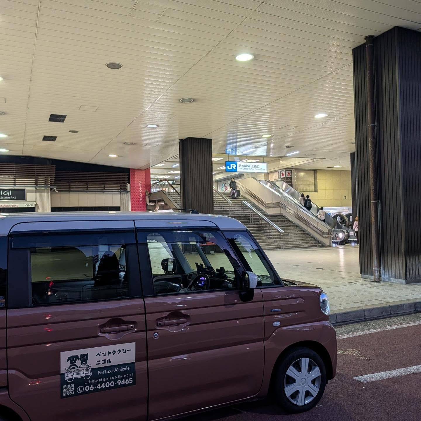 🐈 早朝のペットタクシー送迎 🚕💨