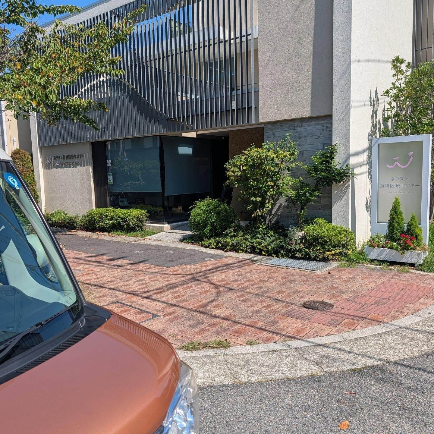 【宝塚市 → 芦屋市｜動物病院への往復送迎🐾】