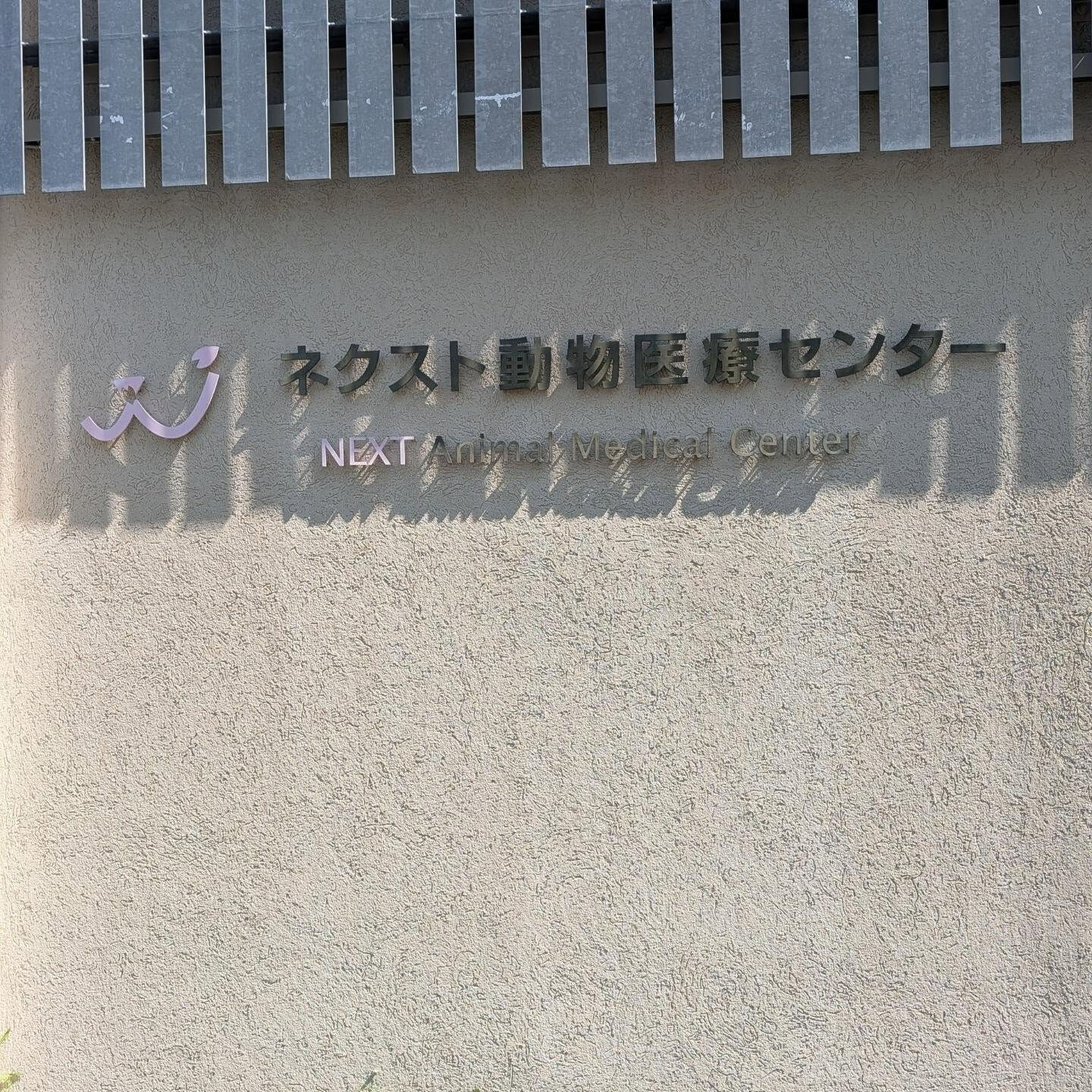 【宝塚市 → 芦屋市｜動物病院への往復送迎🐾】