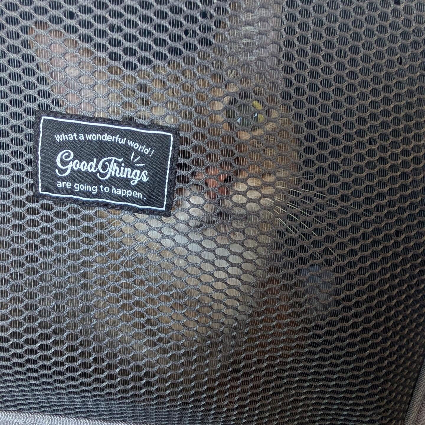 🐱 ネコちゃんと一緒に、新しい暮らしへ🚕✨