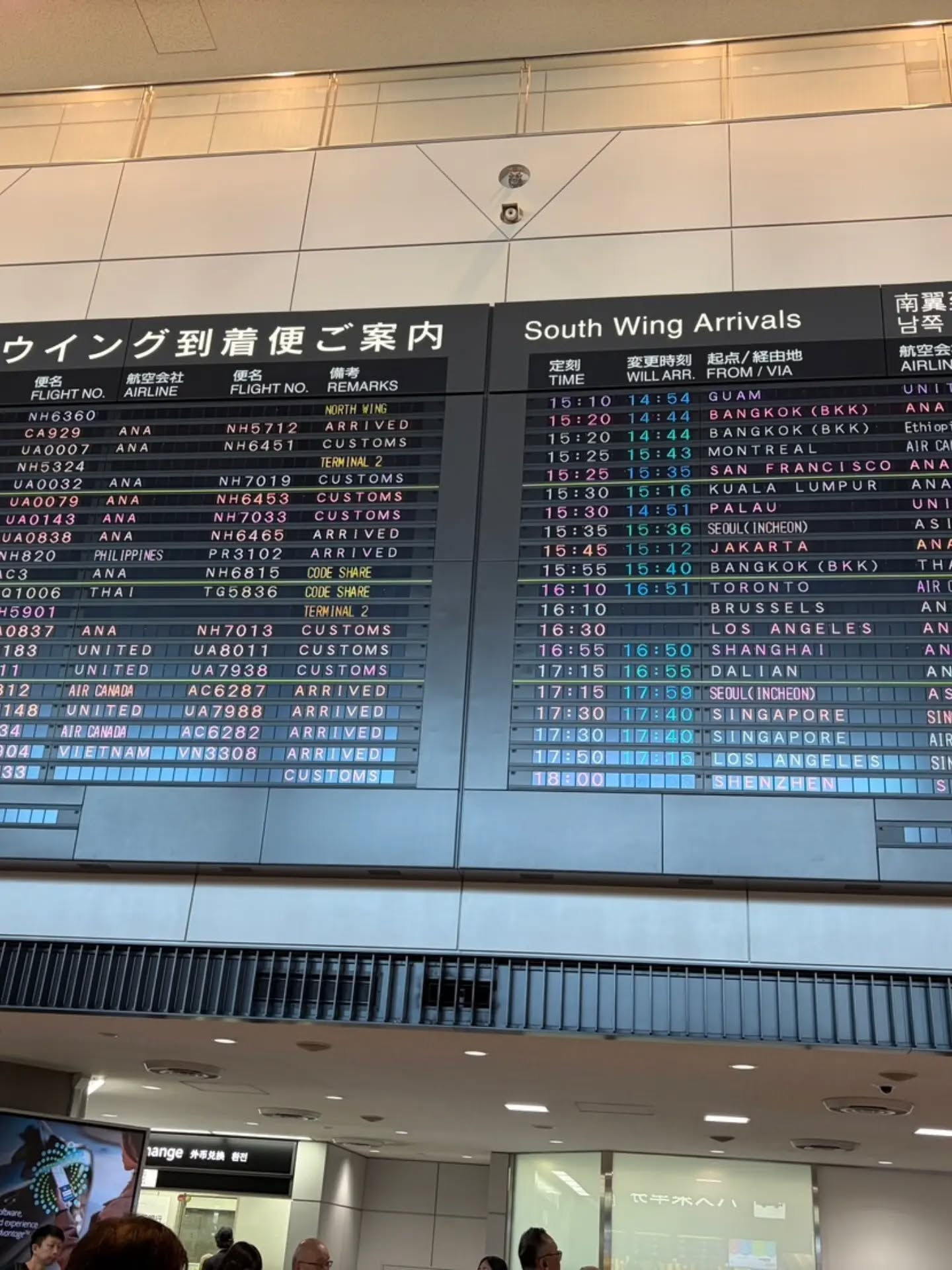 🐶🐶🐱 成田空港から東京都渋谷区へ｜3匹のペットと一緒にお引