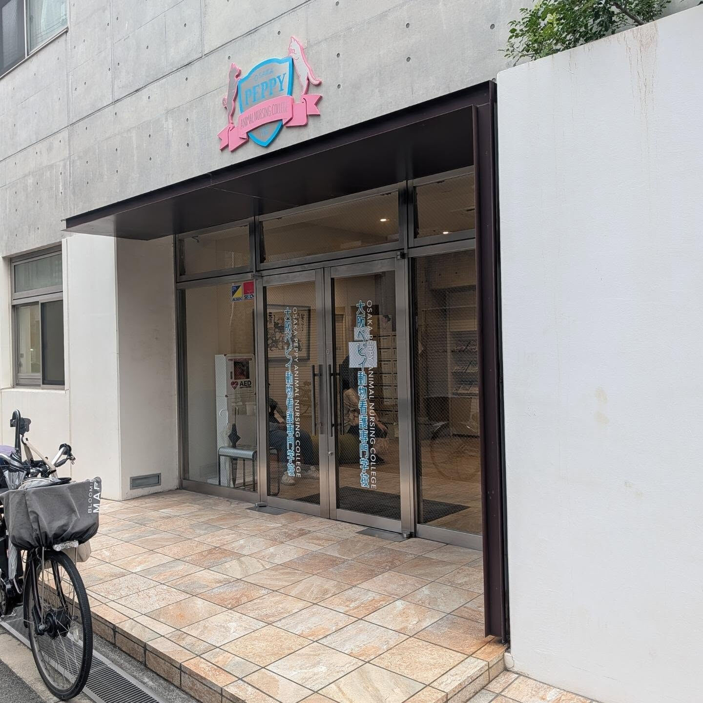 🐶🚕 クーちゃん、今日はトリミングの日✂️✨