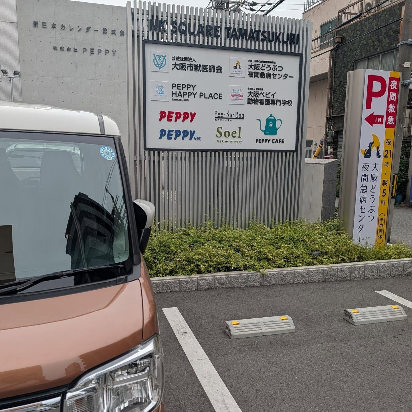 🐶🚕 クーちゃん、今日はトリミングの日✂️✨