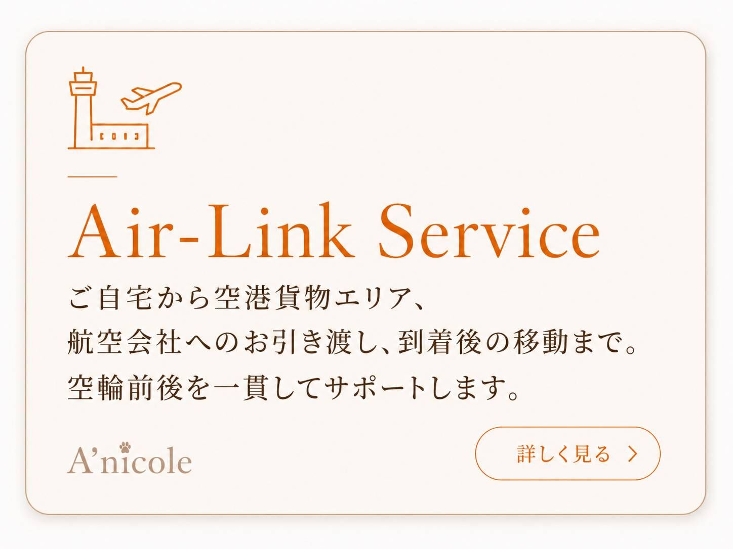 Air-Link Service