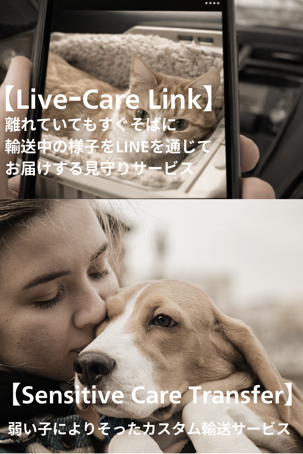 LiveｰCare Link_