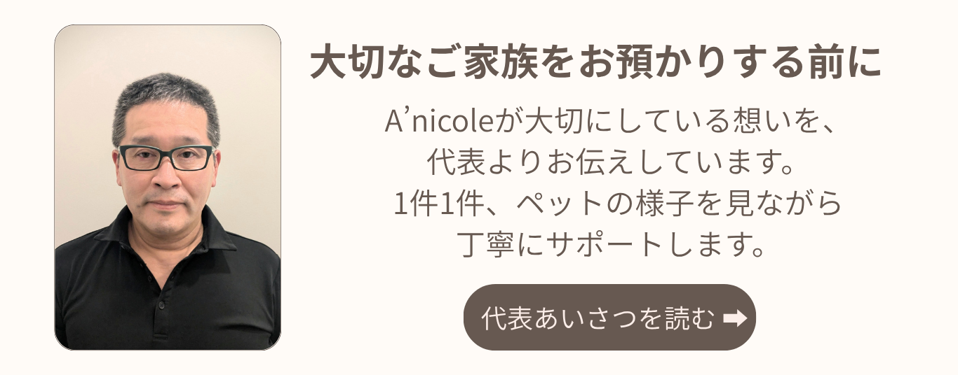 代表挨拶 canva