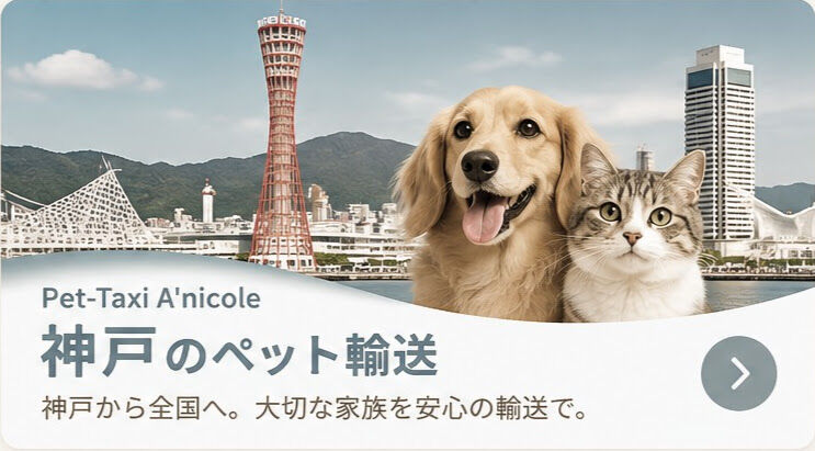 輸送ページ神戸 カードリンク