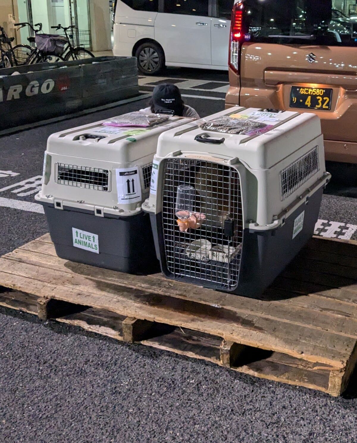 関西空港JAL上屋