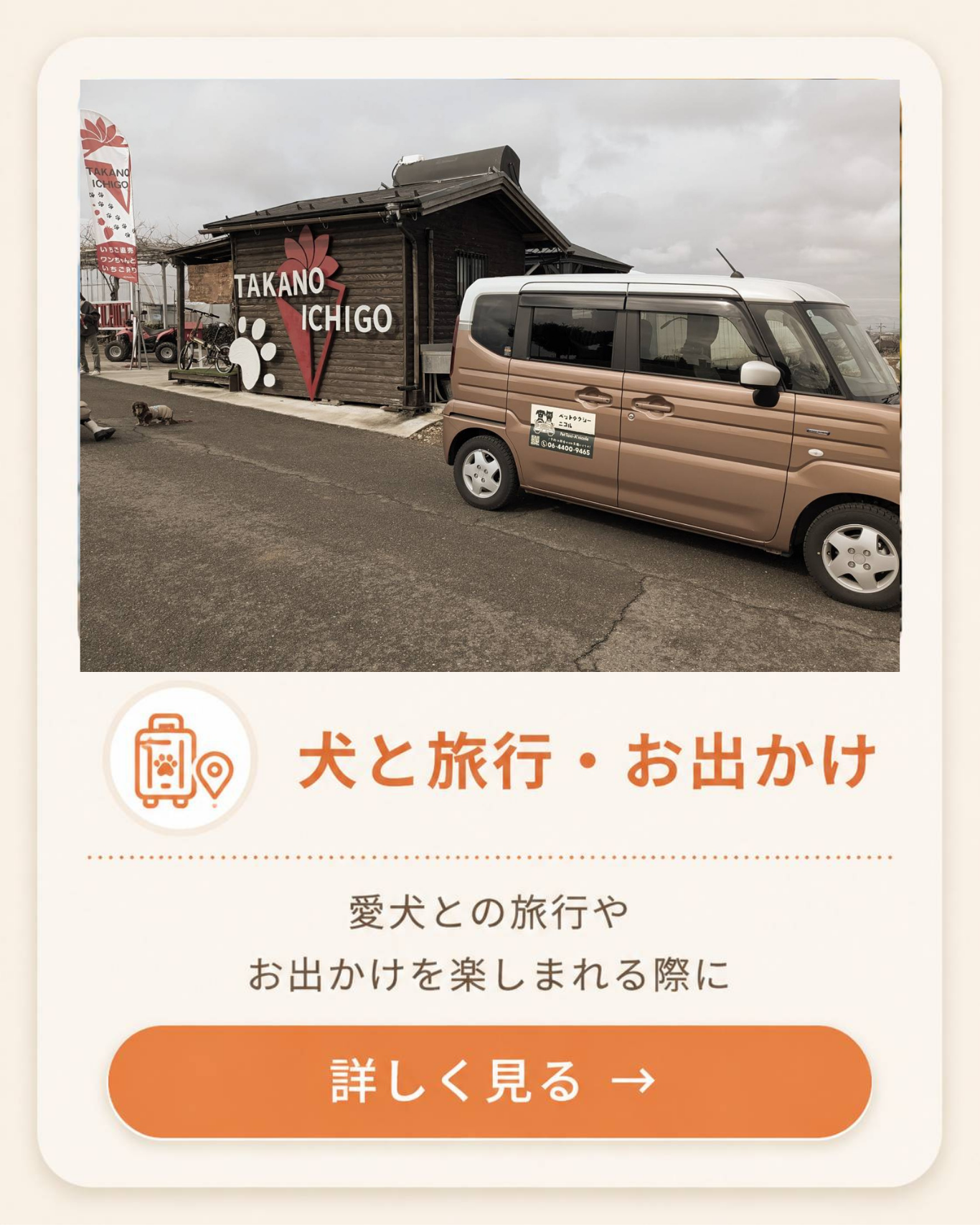 名称未設定のデザイン_20260509_022659_0000