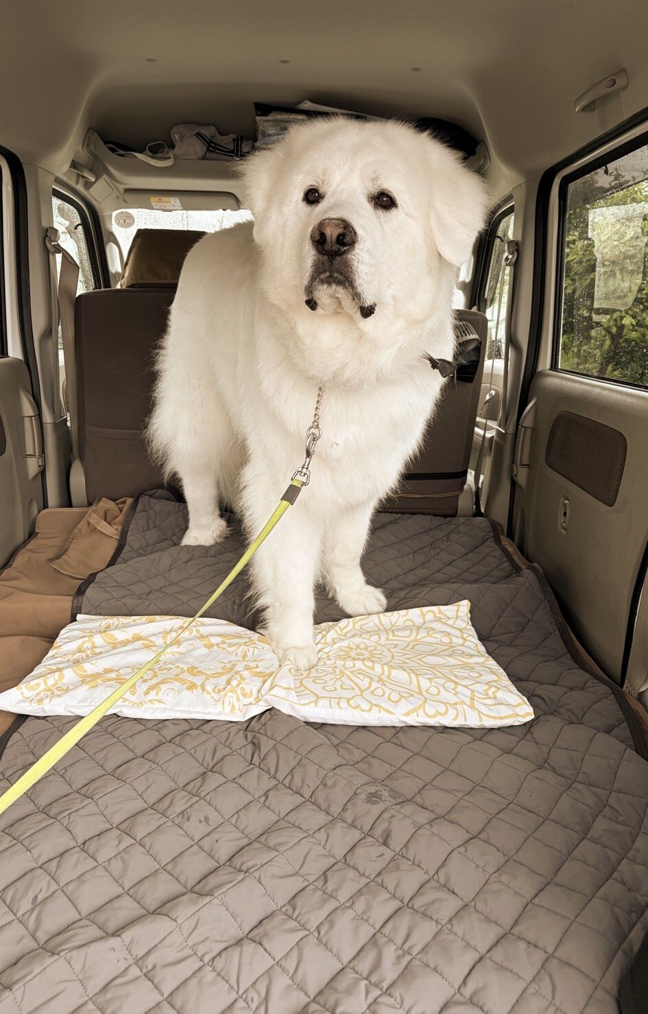 line_oa_chat_260623_191153 (2)