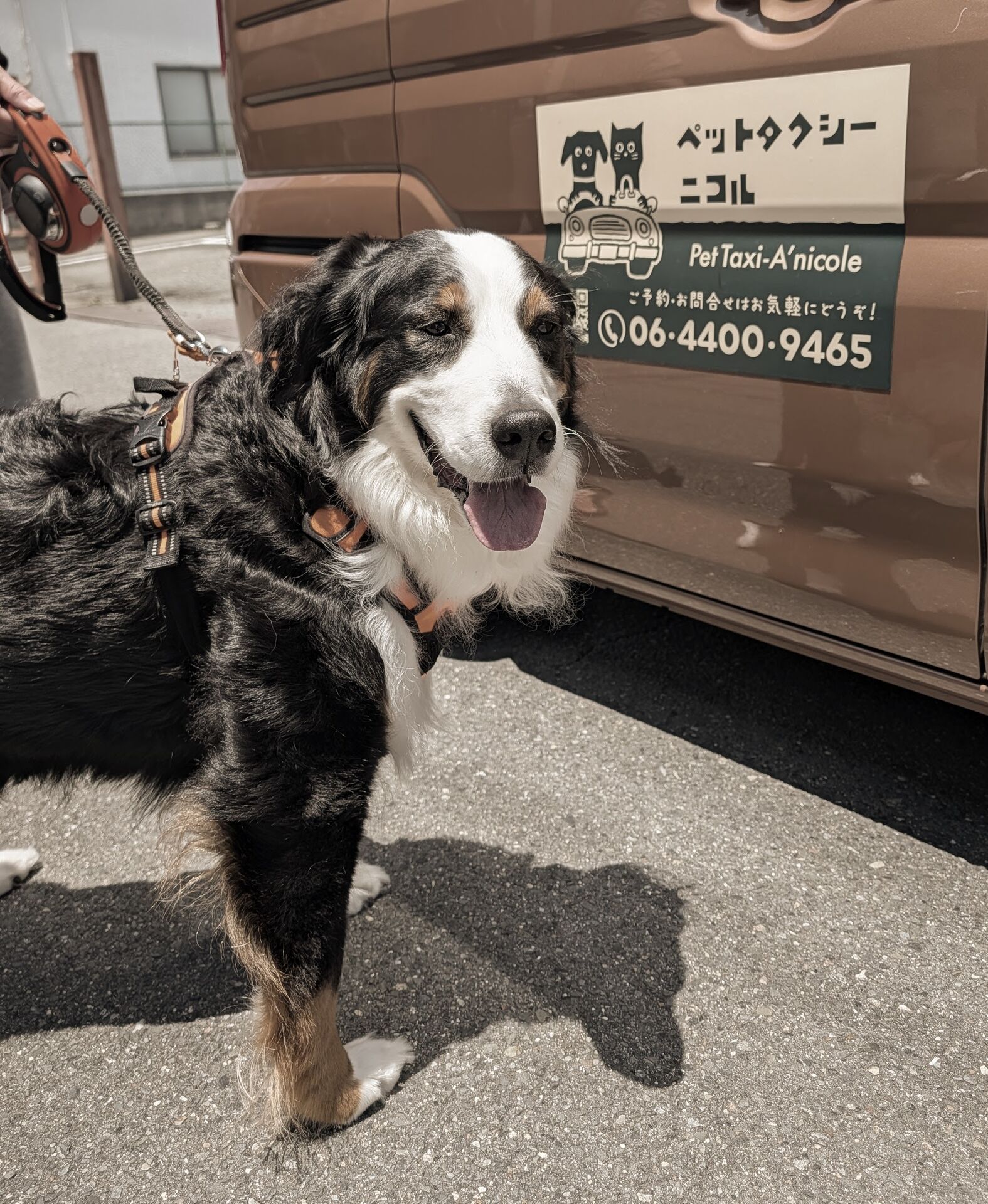 若江岩田 のん吉様