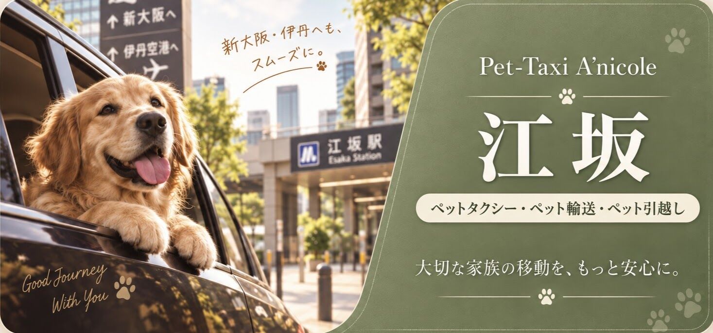 江坂カードリンク