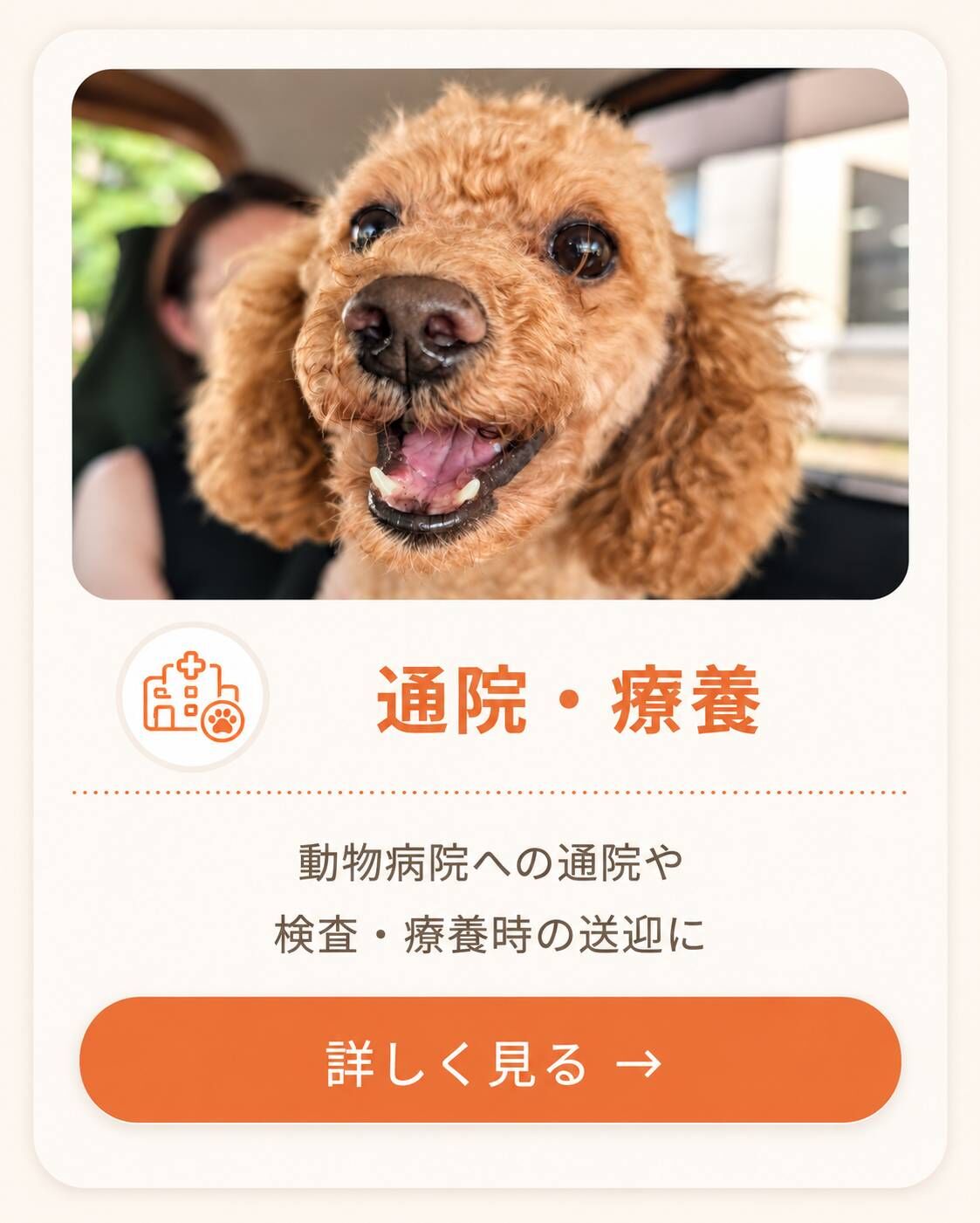 通院バナー